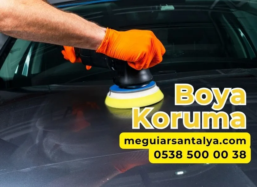 Boya Koruma